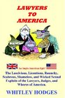 Lawyers to America