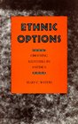 Ethnic Options Choosing Ethnic Identities in America