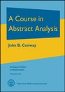 A Course in Abstract Analysis