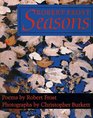 Robert Frost Seasons  Poems