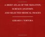A Brief Atlas of the Human Skeleton, Surface Anatomy and Selected Medical Images