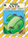 Ants Thematic Unit