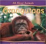 Orangutans ( All About Animals)