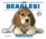 I Like Beagles