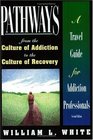 Pathways from the Culture of Addiction to the Culture of Recovery  A Travel Guide for Addiction Professionals