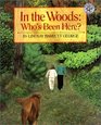 In the Woods: Who's Been Here?