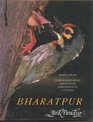 Bharatpur Bird Paradise