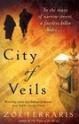 City of Veils (Katya Hijazi, Bk 2)