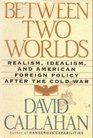 Between Two Worlds Realism Idealism and American Foreign Policy After the Cold War