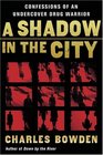 A Shadow in the City  Confessions of an Undercover Drug Warrior