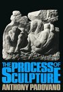 The Process of Sculpture