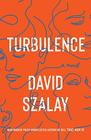 Turbulence A Novel
