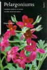 Pelargoniums a Gardeners Guide to the Sp