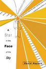 A Star in the Face of the Sky (American Fiction)