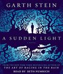 A Sudden Light A Novel