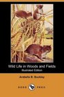 Wild Life in Woods and Fields