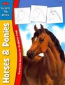 Learn to Draw Horses  Ponies