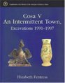 Cosa V An Intermittent Town Excavations 19911997