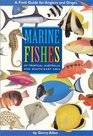 Marine Fishes of Tropical Australia and SouthEast Asia