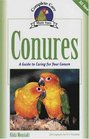 Conures A Guide to Caring for Your Conure