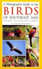 A Photographic Guide to the Birds of Southeast Asia Including the Philippines  Borneo