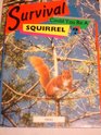 Survival Could You Be a Squirrel