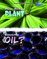 How Does A Plant Become Oil