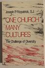 One Church Many Cultures The Challenge of Diversity