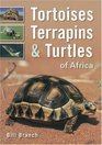 Tortoises Terrapins  Turtles of Africa