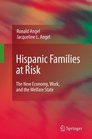 Hispanic Families at Risk The New Economy Work and the Welfare State