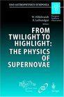 From Twilight to Highlight The Physics of Supernovae  Proceedings of the Eso/Mpa/Mpe Workshop Held at Garching Germany 2931 July 2002