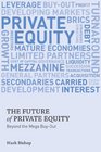 The Future of Private Equity Beyond the Mega Buyout