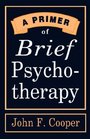 A Primer of Brief Psychotherapy