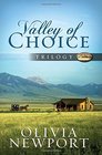 Valley of Choice Trilogy Accidentally Amish / In Plain View / Taken for English