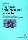 The Human Brain Stem and Cerebellum Surface Structure Vascularization Three Dimensional Sectional Anatomy and MRI