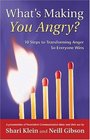 What's Making You Angry  10 Steps to Transforming Anger So Everyone Wins