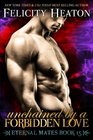 Unchained by a Forbidden Love Eternal Mates Romance Series