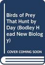 Birds of Prey That Hunt by Day