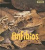 Anfibios/ Amphibians