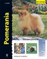 Pomerania / The Pomeranian