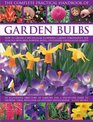 The Complete Practical Handbook of Garden Bulbs How to create a spectacular flowering garden throughout the year with bulbs corms tubers and rhizomes
