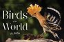 Birds of the World 365 Days