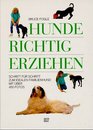 Hunde richtig erziehen  Schritt fuur Schritt zum idealen Familienhund