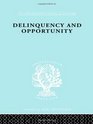 Delinquency and Opportunity A Study of Delinquent Gangs
