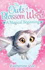 The Owls of Blossom Wood A Magical Beginning