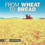 From Wheat to Bread