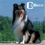 Collies 2007 Wall Calendar