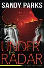 Under The Radar: A Taking Risks Novel (Volume 1)
