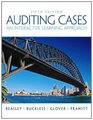Auditing Cases An Interactive Learning Approach