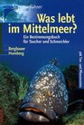 Was lebt im Mittelmeer Ein Bestimmungsbuch fr Taucher und Schnorchler